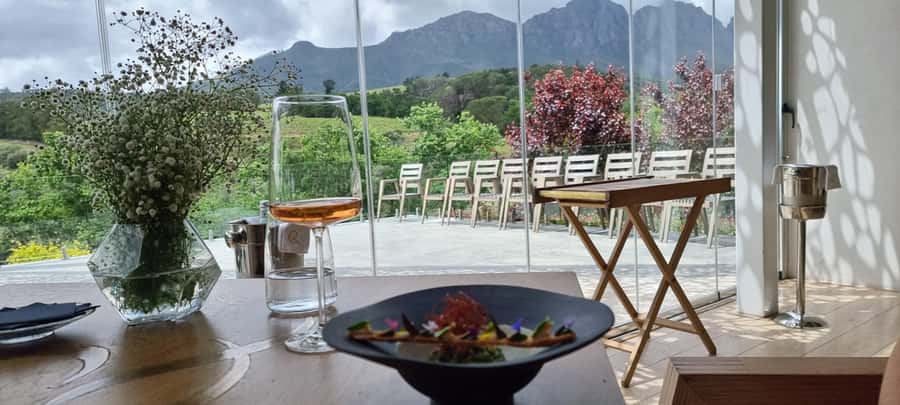 Luxury Wine Tour - What $239 gets you, and what it does not