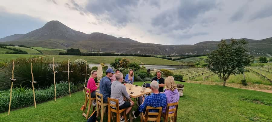 Luxury Wine Tour - Timing, group size, and practical advice