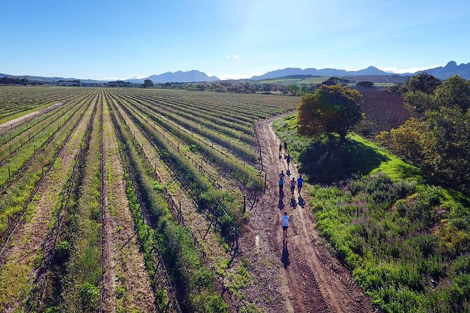 Luxury Wine Tour with Lunch - Stellenbosch supplies the longer lunch stop