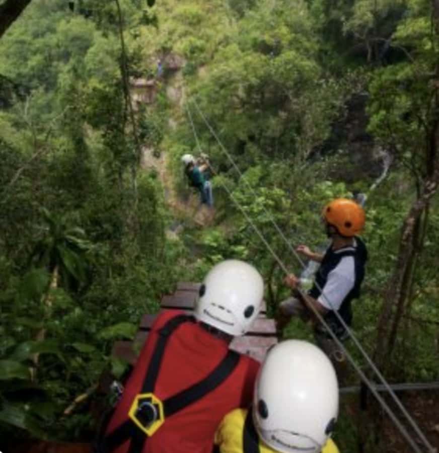 Magoebaskloof Adventures: 2H Canopy Tour - The final walk and return transport