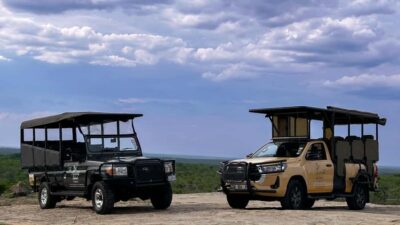 Malelane & Komatipoort: Kruger National Park Half-Day Safari