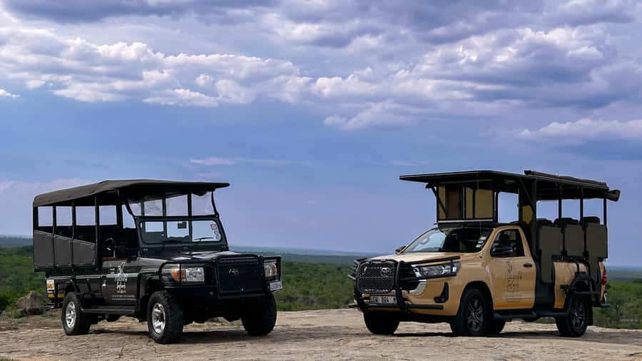 Malelane & Komtipoort: Kruger National Park Full-Day Safari - Following the first light into the bush
