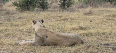 Maputo: Kruger National Park Day Trip