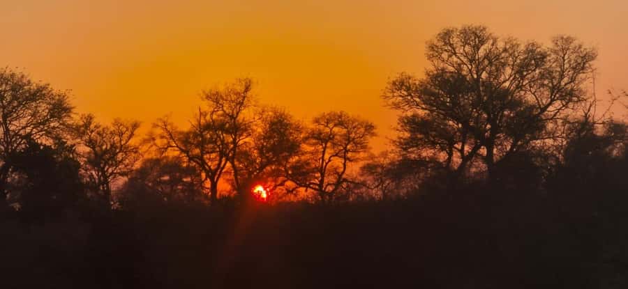 Maputo: Kruger National Park Day Trip - Looking for the Big Five, and everything around them
