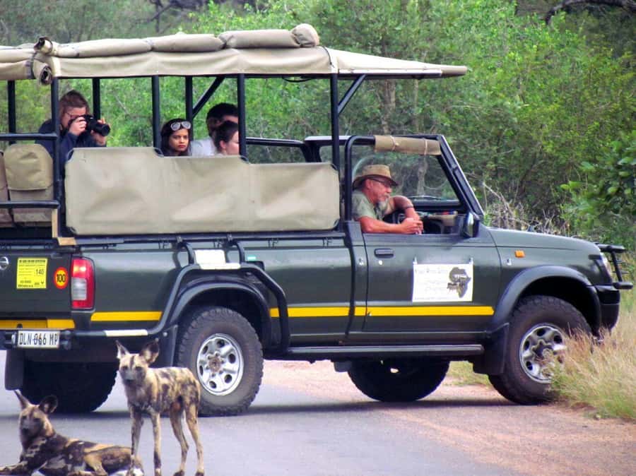 Maputo: Kruger National Park Day Trip - Lunch at Lower Sabie or Skukuza