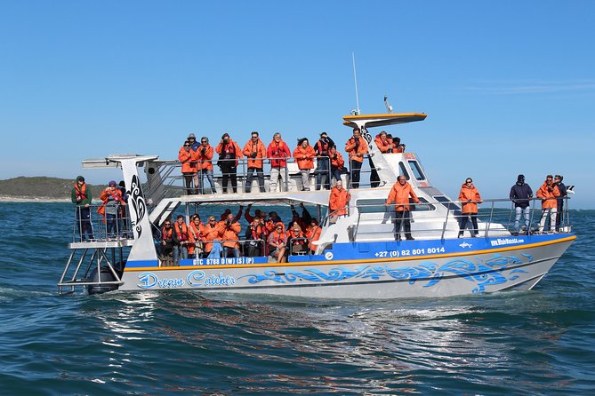 Marine Big 5 Full Day Guided Return Transfer Cape Town - Gansbaai - What happens if the boat is canceled