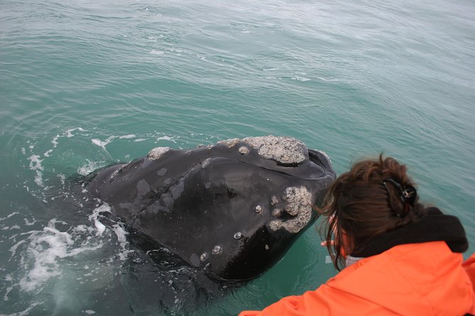 Marine Big 5 Safari: Self-Drive - Key points at a glance