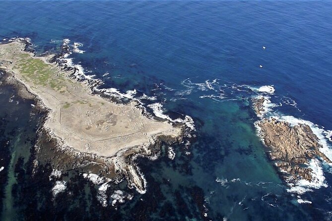 Marine Big 5 Safari with transport from Hermanus - The boat, group size, and viewing space