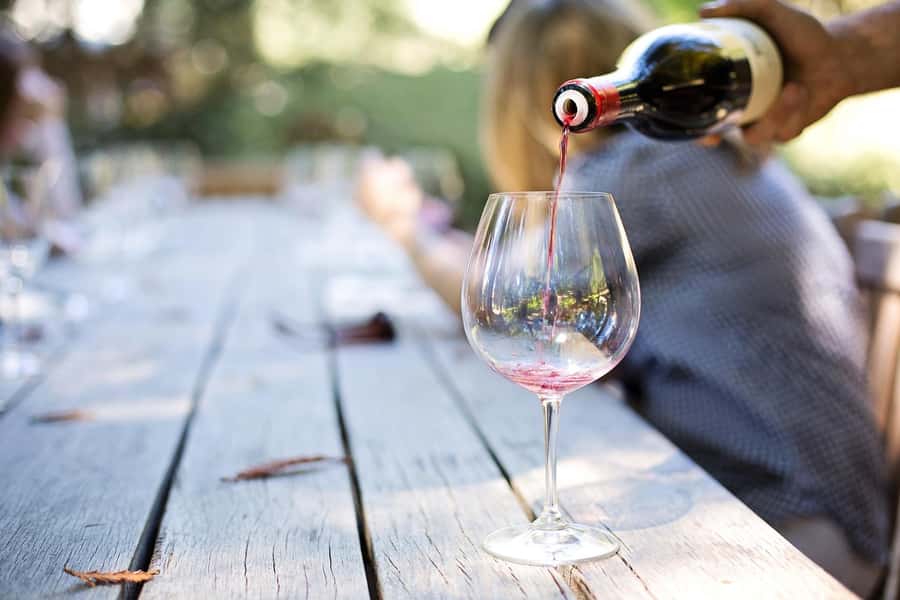Marine Eco Cruise and Half-Day Wine Route with Tastings - Key points at a glance