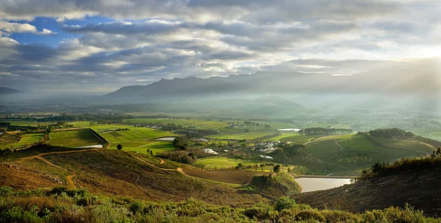 Marine Eco Cruise and Half-Day Wine Route with Tastings - Who will enjoy this six-hour outing