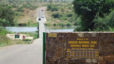 Marloth Park: Bush Braai Dinner & Game Drive in Kruger Park