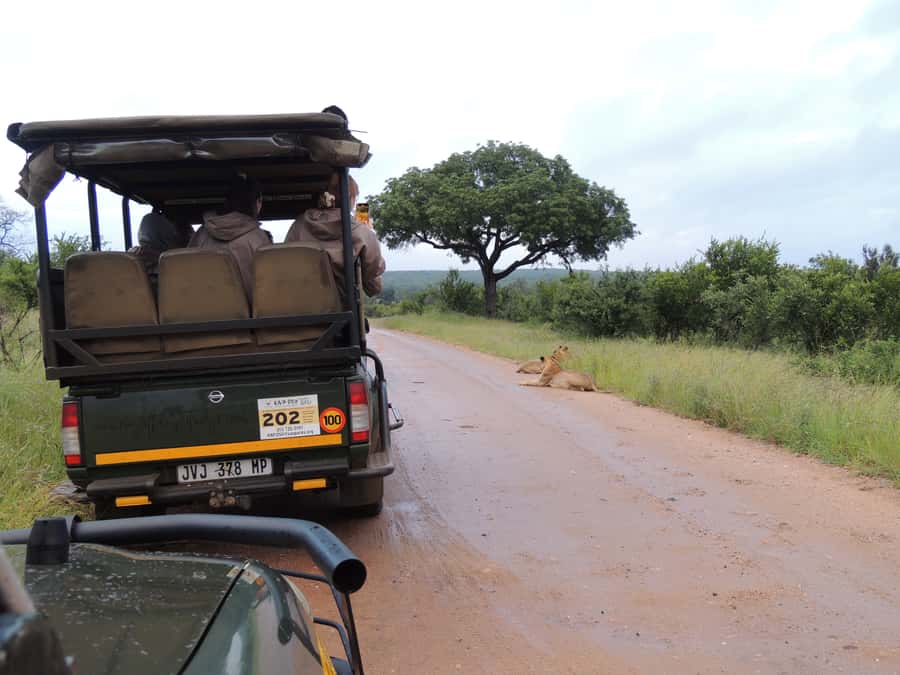 Marloth Park: Kruger National Park Safari Game Drives - What to pack for the open vehicle