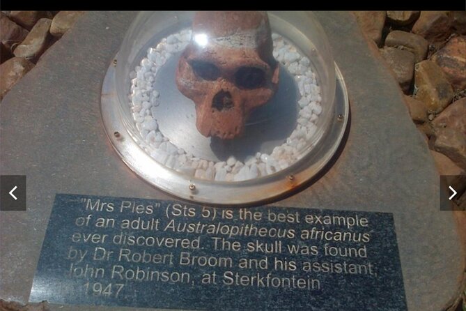 Maropeng Cradle of Humankind Museum &Sterkfontein Cave Experience - Is $103.52 a fair price?