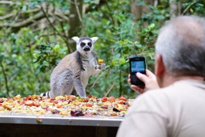 Monkeyland Guided Tour in Plettenberg Bay
