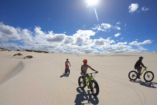 Morning Fatbike Dune Tour - Ocean views and whale season from above the bay