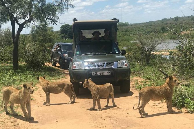Morning Safari in Kruger National Park from Hazyview (AM KNP) - What to bring and how to prepare