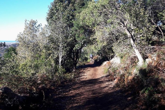 Mountain Biking Table Mountain to Constantia Morning Ride - Steep Ground Before the Constantia Neck Coffee Stop