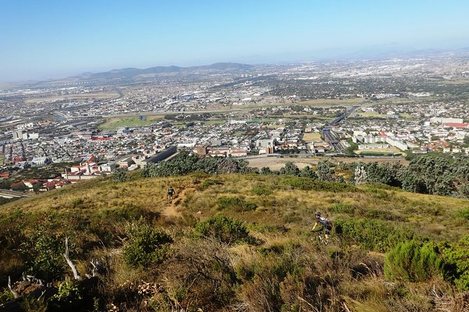 Mountain Biking Table Mountain to Constantia Morning Ride - The Return Through Constantia Valley
