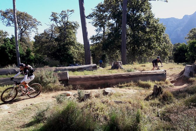 Mountain Biking Table Mountain to Constantia Morning Ride - Forest Tracks and the Gradual Climb to Kirstenbosch