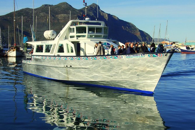 MUST DO: Boulders Beach & Cape Point Full Day Tour #1 Rated - What the guides add to a long day