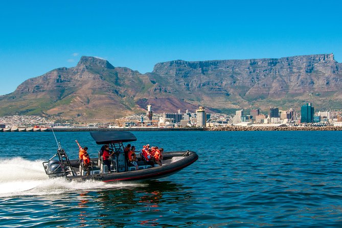 Ocean Safari - Key points to know before you book