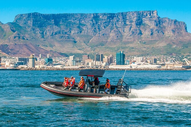 Ocean Safari - The skipper’s commentary adds useful context