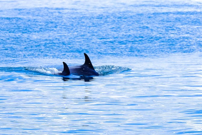 Ocean Safari - Rough water, fitness, and comfort