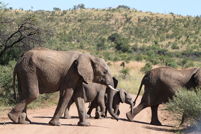 One day Safari including a 5 Hour Open Safari Vehicle Drive - Entering Pilanesberg National Park