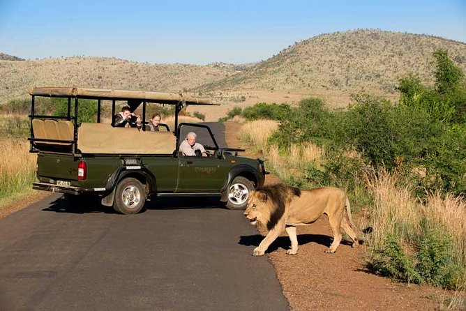 One day Safari including a 5 Hour Open Safari Vehicle Drive - Who should book this safari?