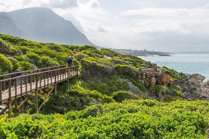 One-Way Hop-on Hop-off Bus from Cape Town to Port Elizabeth - Stellenbosch: Wine country close to Cape Town