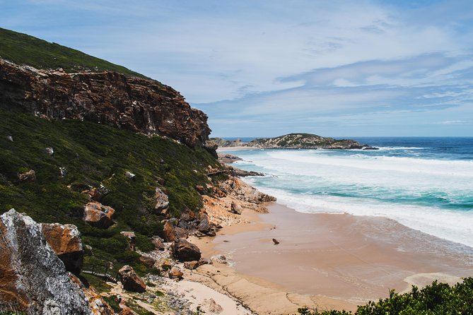 One-Way Hop-on Hop-off Bus from Port Elizabeth to Cape Town - What the 19-seater ride feels like
