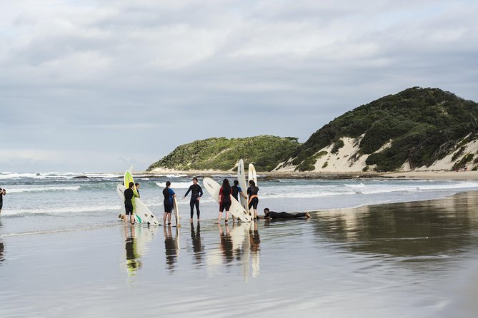 One-Way Hop-on Hop-off Bus from Port Elizabeth to Cape Town - Booking ahead without losing freedom