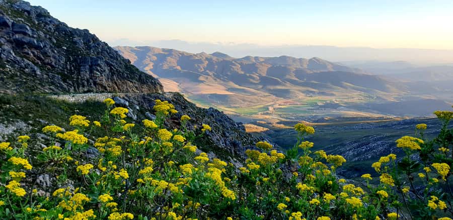 Oudtshoorn: Half-Day Swartberg Pass Private Guided Tour - Why the Swartberg Pass deserves half a day