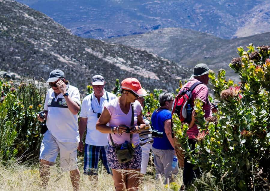 Oudtshoorn: Swartberg Mountain Pass Tour with Country Lunch - Five details that shape the experience