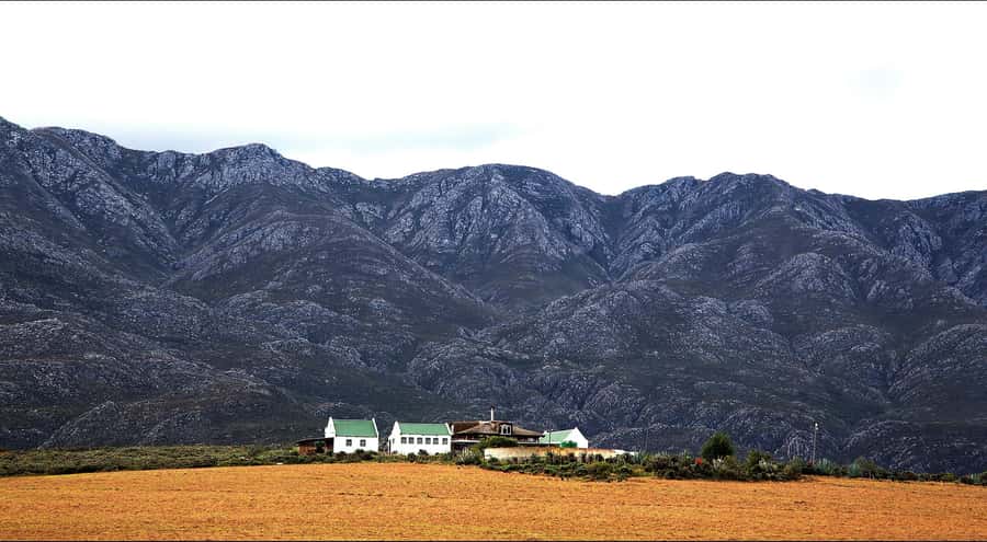 Oudtshoorn: Swartberg Mountain Pass Tour with Country Lunch - Why Swartberg Pass is worth your time