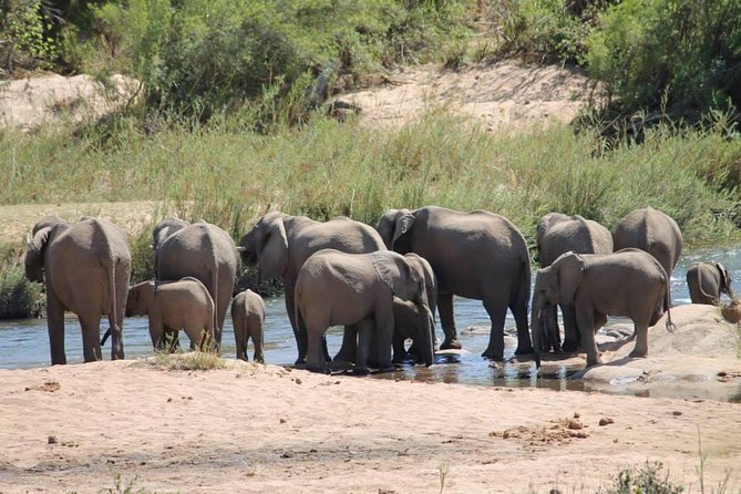 Overnight Kruger National Park Classic Camping Safari - The Big Five question: what you can reasonably expect