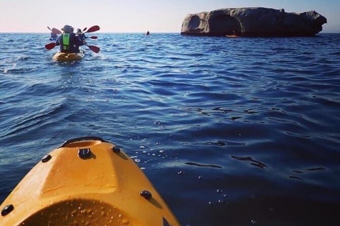 Paddle with the Penguins - The weather is part of the decision