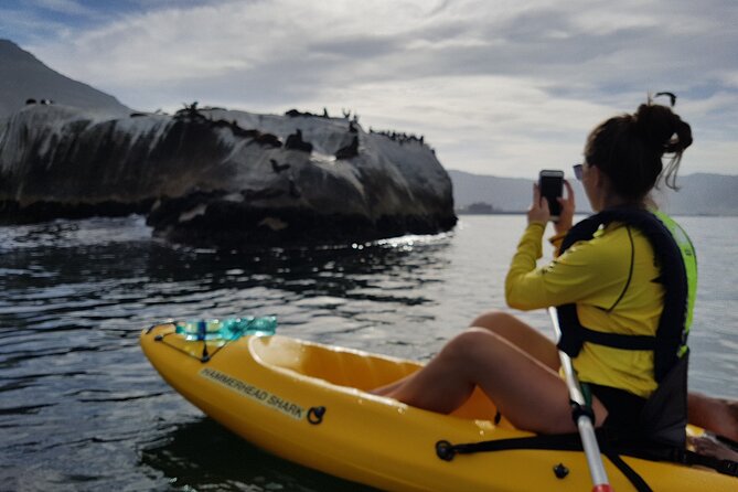 Paddle with the Penguins - What the $34.63 price really covers