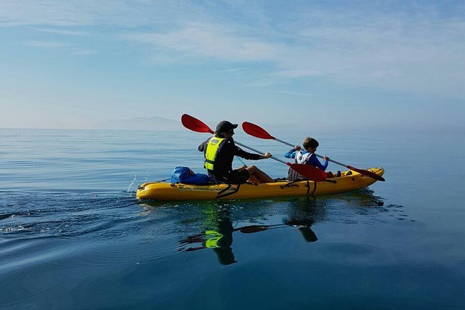 Paddle with the Penguins - Who will enjoy this most