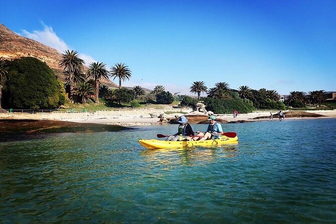 Paddle with the Penguins - Helpful preparation for the beach