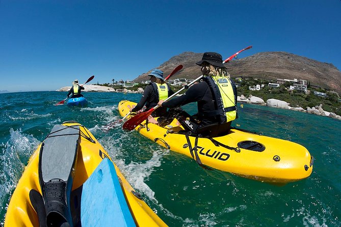 Paddle with the Penguins - Safety first, then onto the water