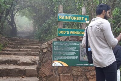 Panorama Route Full Day Tour
