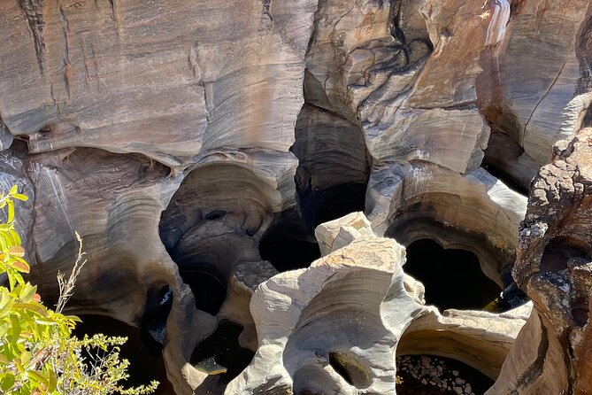 Panorama Route Full Day Tour - Graskop Gorge and the optional shot of adrenaline
