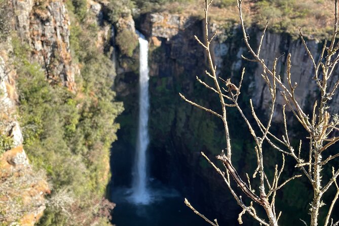 Panorama Route Full Day Tour - What the private vehicle changes
