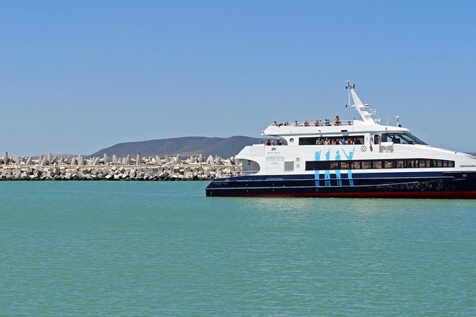 Path to Freedom: Apartheid & Township Tour with Private Transfers - Should you add Robben Island?