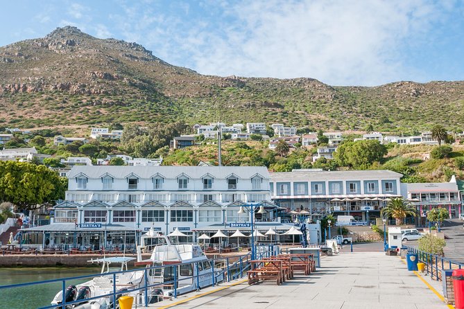 Penguin Encounter Boulders Beach Half Tour Day from Cape Town - Why this half-day trip works well from Cape Town