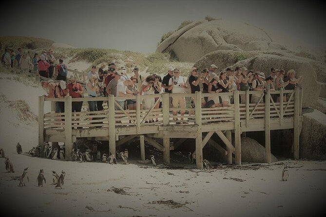 Penguin Encounter Boulders Beach Half Tour Day from Cape Town - Boyes Drive brings you back along False Bay