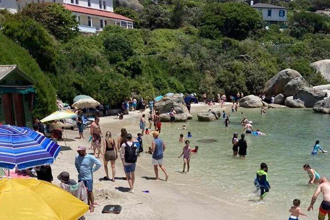 Penguin Watching & Beach Day at Boulder's Beach, Cape Town - Why this coastal day works well