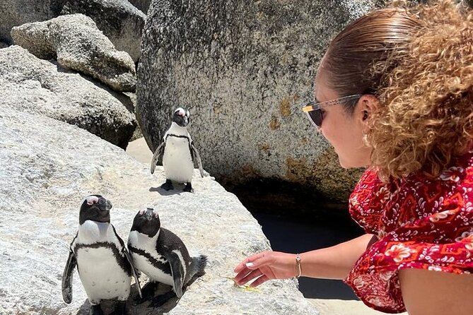 Penguin Watching & Beach Day at Boulder's Beach, Cape Town - Camps Bay and Maiden’s Cove: a quick start with big views