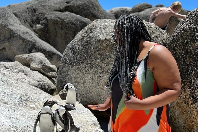 Penguin Watching & Beach Day at Boulder's Beach, Cape Town - Boulders Beach: two hours with African penguins